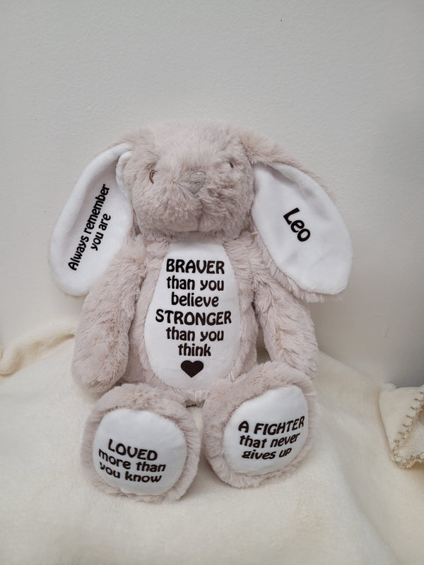 Teddies - Braver Message
