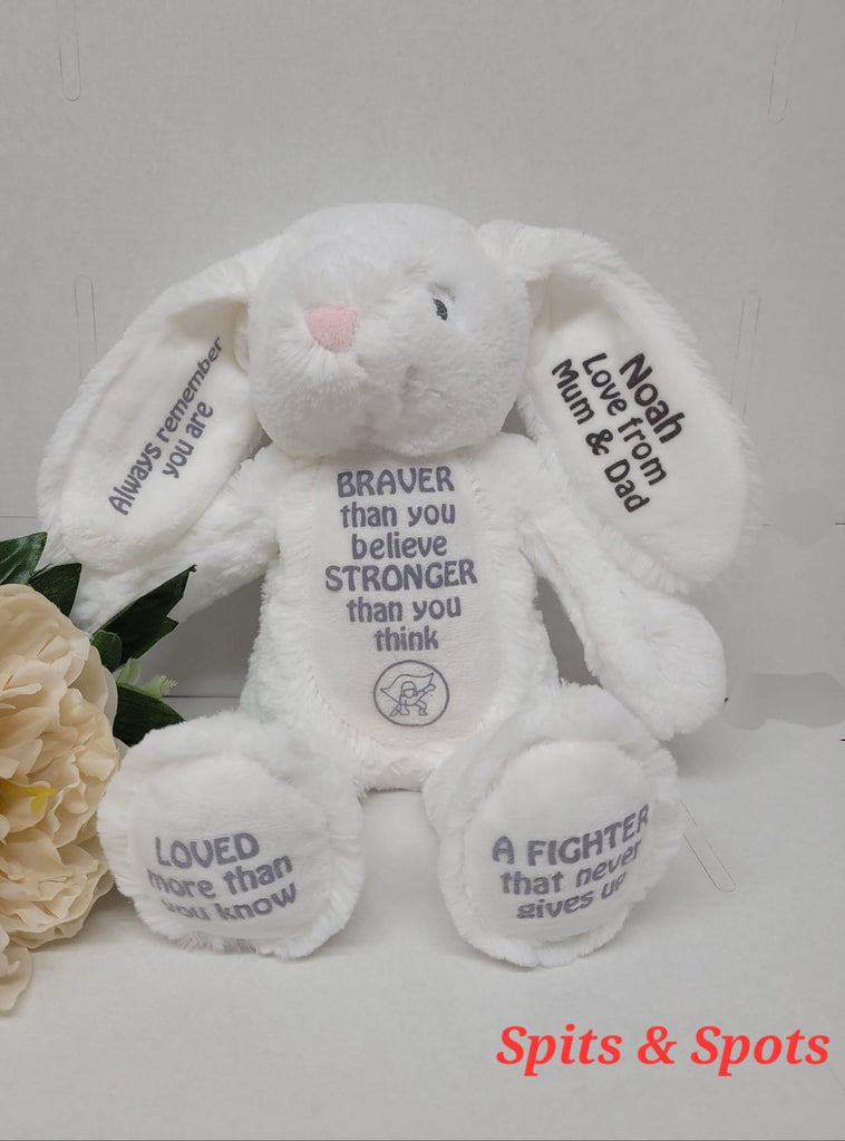 Teddies Fighter Message Teddies With Superhero Button