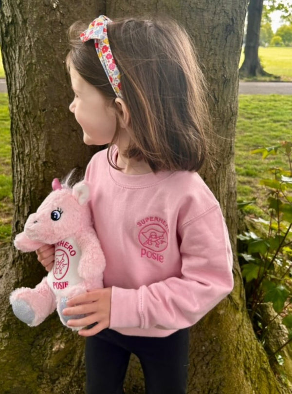 Teddies Superhero Unicorn And Other Teddies