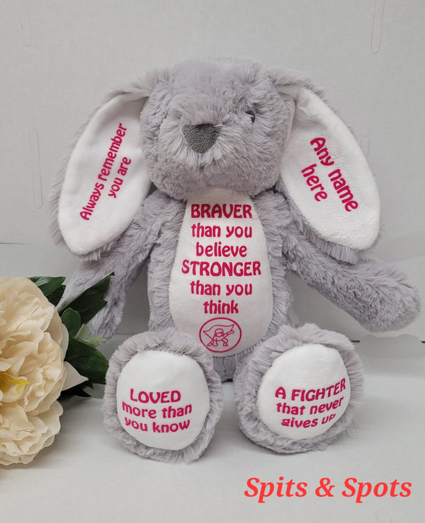 Teddies Fighter Message Teddies With Superhero Button