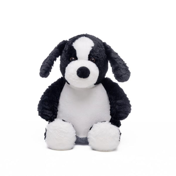 Border Collie Teddy