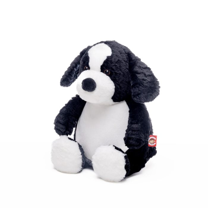 Border Collie Teddy