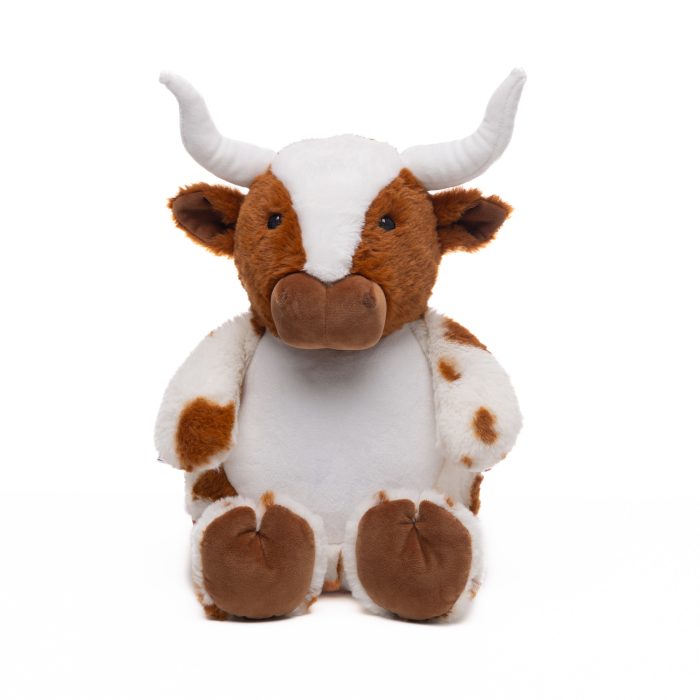 Longhorn Cow