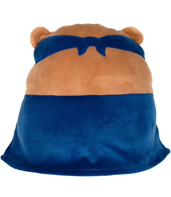 Superhero bear