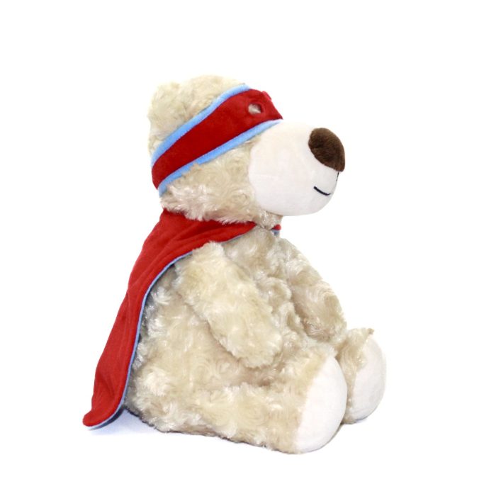 Superhero teddy