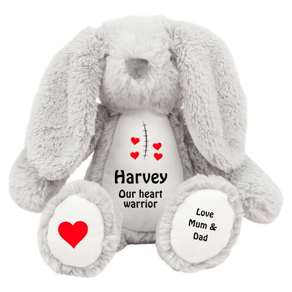 Scar Teddy Heart Warrior