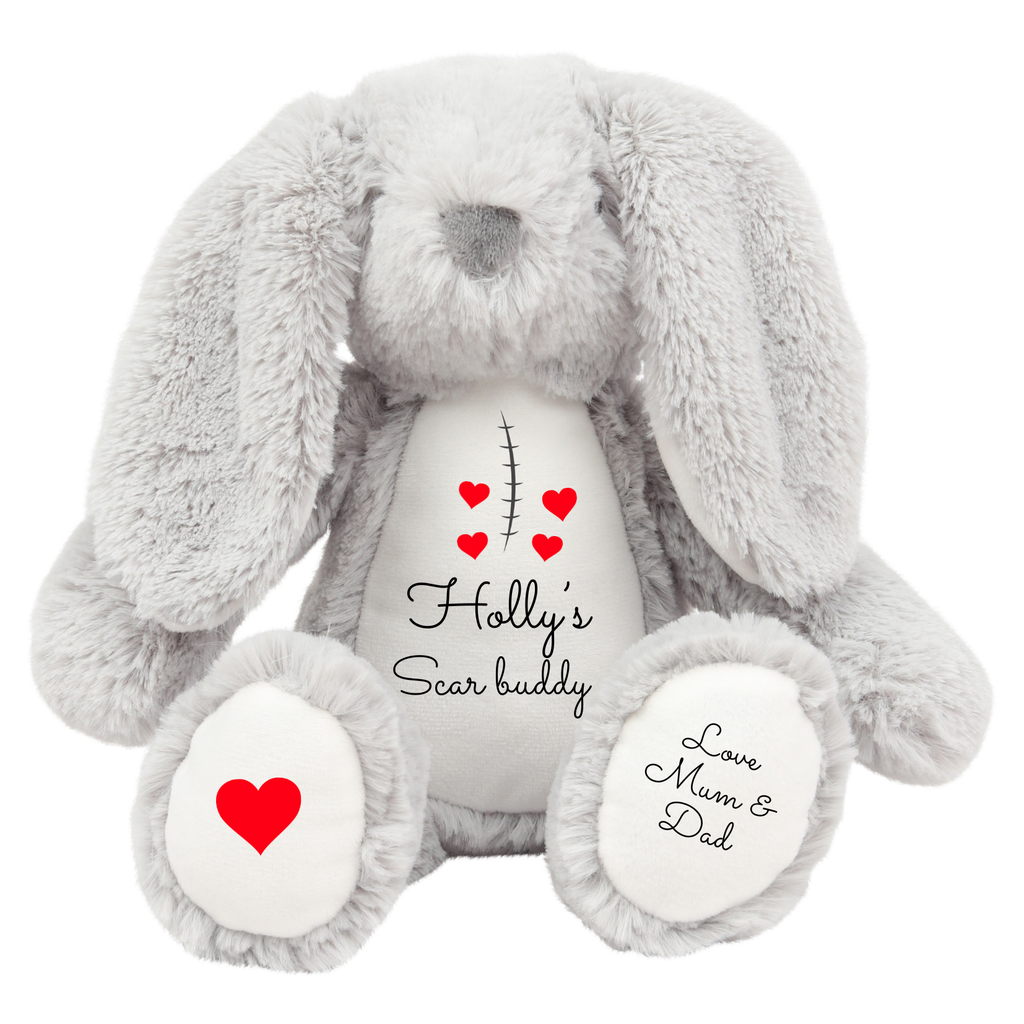 Scar Teddy Scar Buddy