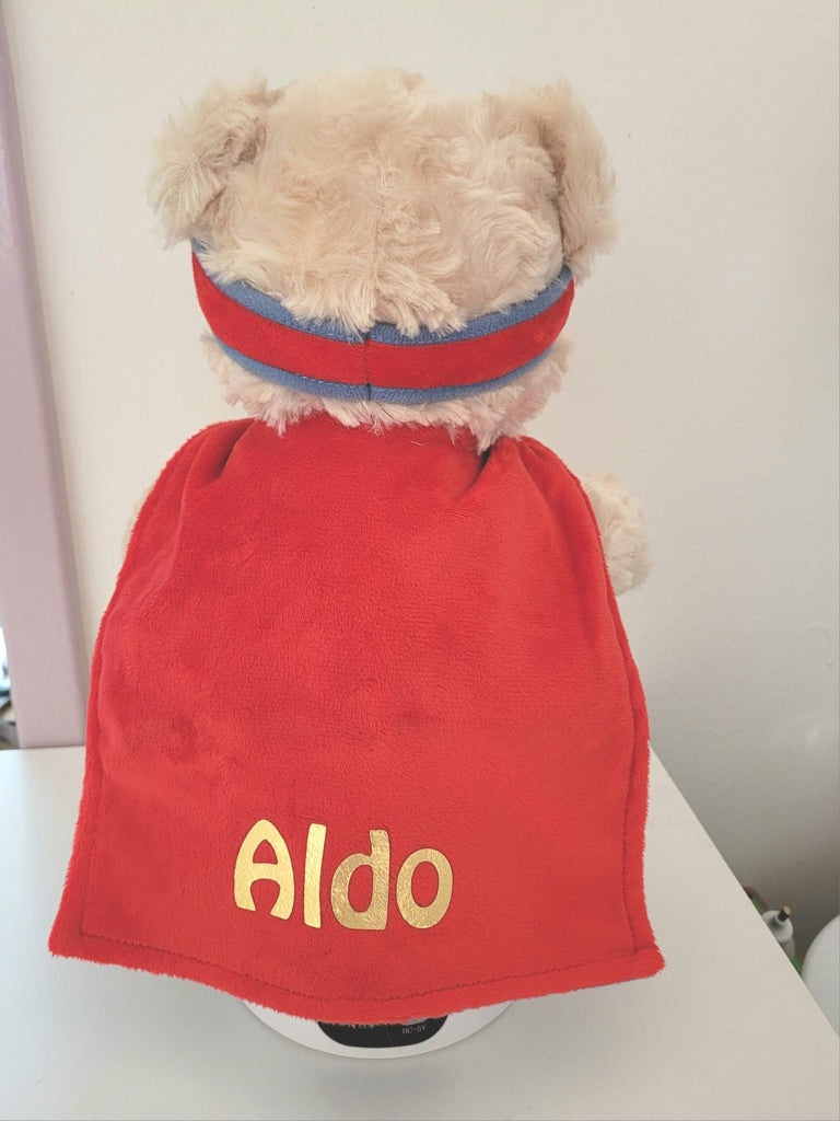 Superhero teddy