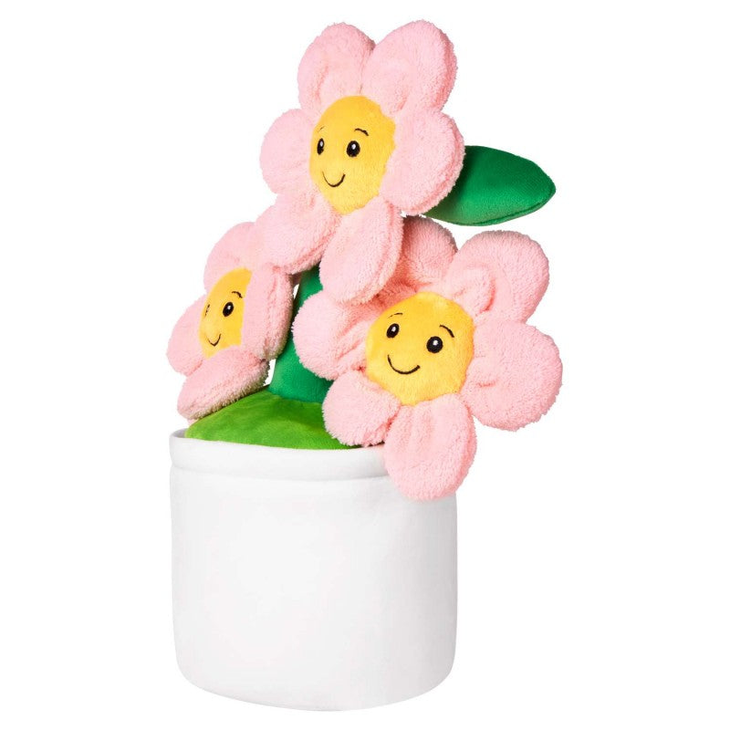 Flower Pot